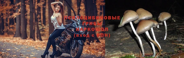 MESCALINE Корсаков