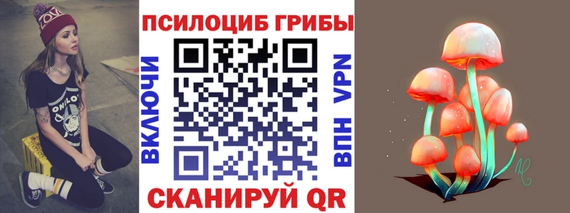 Псилоцибиновые грибы прущие грибы  Купить закладки  Буйнакск 